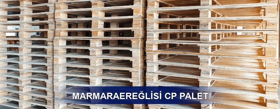 Marmaraereğlisi Standart Tipler